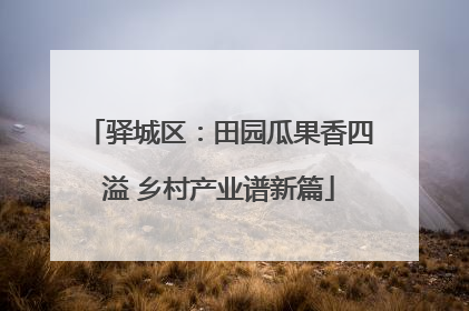 驿城区：田园瓜果香四溢 乡村产业谱新篇
