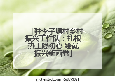 驻李子塘村乡村振兴工作队：扎根热土践初心 绘就振兴新画卷