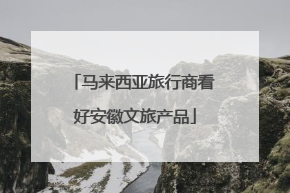 马来西亚旅行商看好安徽文旅产品