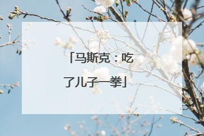 马斯克：吃了儿子一拳