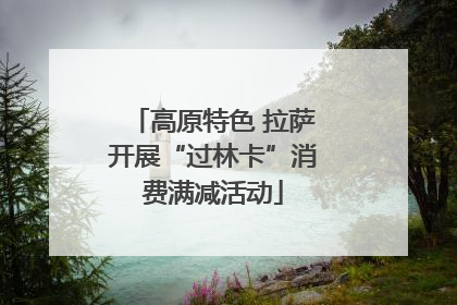 高原特色 拉萨开展“过林卡”消费满减活动