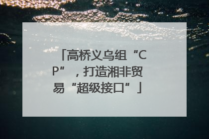 高桥义乌组“CP”，打造湘非贸易“超级接口”
