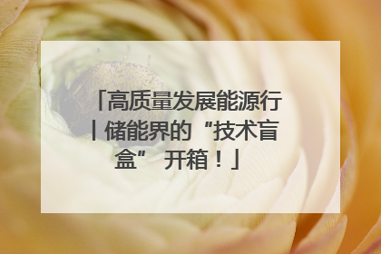 高质量发展能源行丨储能界的“技术盲盒” 开箱！