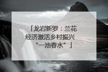 龙岩新罗：兰花经济激活乡村振兴“一池春水”