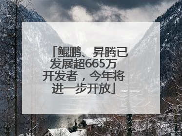鲲鹏、昇腾已发展超665万开发者，今年将进一步开放
