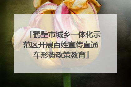 鹤壁市城乡一体化示范区开展百姓宣传直通车形势政策教育