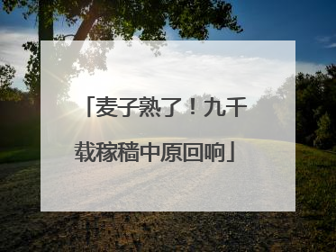 麦子熟了！九千载稼穑中原回响