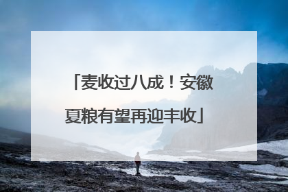 麦收过八成！安徽夏粮有望再迎丰收