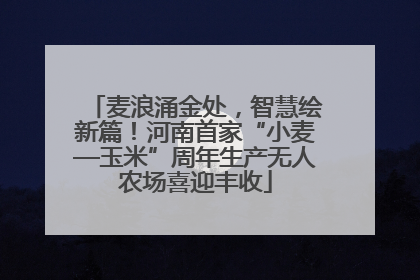 麦浪涌金处，智慧绘新篇！河南首家“小麦—玉米”周年生产无人农场喜迎丰收