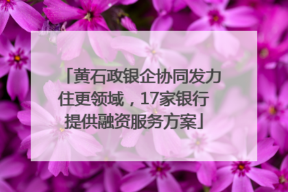 黄石政银企协同发力住更领域，17家银行提供融资服务方案