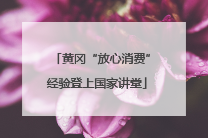 黄冈“放心消费”经验登上国家讲堂