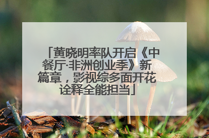 黄晓明率队开启《中餐厅·非洲创业季》新篇章，影视综多面开花诠释全能担当