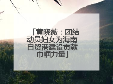 黄晓薇:团结动员妇女为海南自贸港建设贡献巾帼力量