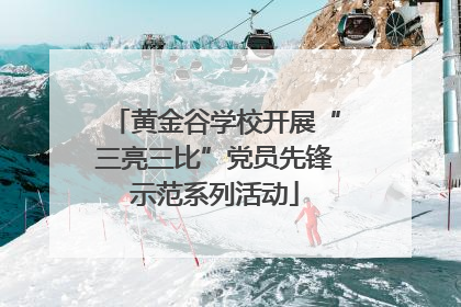 黄金谷学校开展“三亮三比”党员先锋示范系列活动