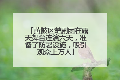 黄陂区楚剧团在露天舞台连演六天，准备了防暑设施，吸引观众上万人