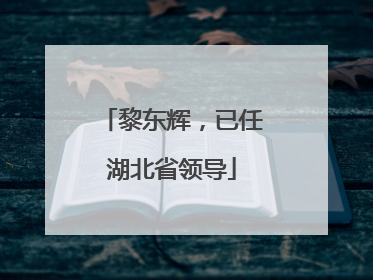 黎东辉，已任湖北省领导
