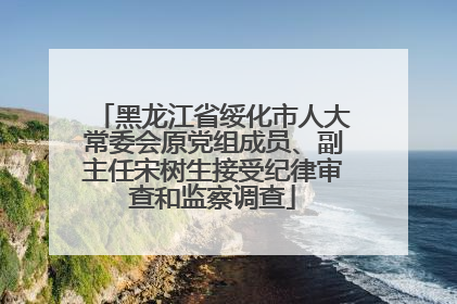 黑龙江省绥化市人大常委会原党组成员、副主任宋树生接受纪律审查和监察调查