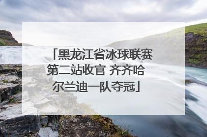 黑龙江省冰球联赛第二站收官 齐齐哈尔兰迪一队夺冠
