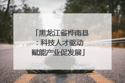 黑龙江省桦南县：科技人才驱动 赋能产业促发展
