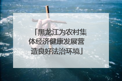 黑龙江为农村集体经济健康发展营造良好法治环境