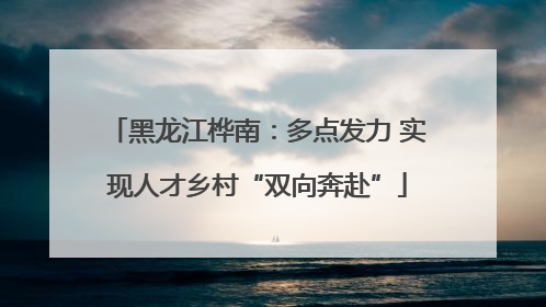 黑龙江桦南：多点发力 实现人才乡村“双向奔赴”