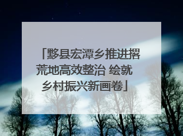 黟县宏潭乡推进撂荒地高效整治 绘就乡村振兴新画卷