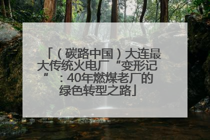 （碳路中国）大连最大传统火电厂“变形记”：40年燃煤老厂的绿色转型之路