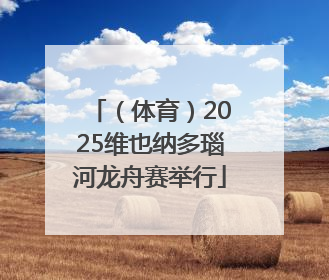 （体育）2025维也纳多瑙河龙舟赛举行