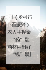 （乡村行·看振兴）农人手握金“药”匙 药材种出好“钱”景