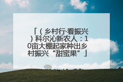 （乡村行·看振兴）科尔沁新农人：10亩大棚起家种出乡村振兴“甜蜜果”
