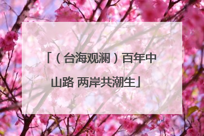 （台海观澜）百年中山路 两岸共潮生