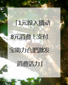 1元投入撬动8元消费！支付宝助力合肥激发消费活力
