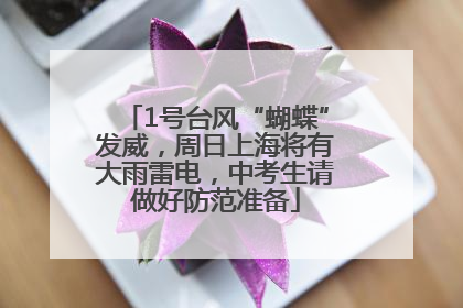 1号台风“蝴蝶”发威，周日上海将有大雨雷电，中考生请做好防范准备