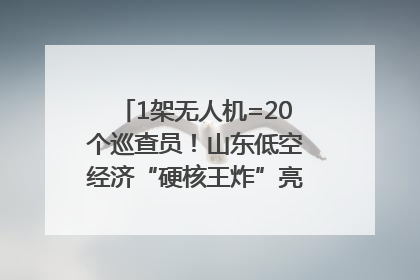 1架无人机=20个巡查员！山东低空经济“硬核王炸”亮相青岛，下一个万亿赛道藏在这里