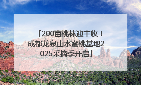 200亩桃林迎丰收！成都龙泉山水蜜桃基地2025采摘季开启
