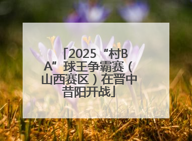 2025“村BA”球王争霸赛（山西赛区）在晋中昔阳开战