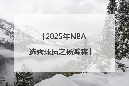 2025年NBA选秀球员之杨瀚森