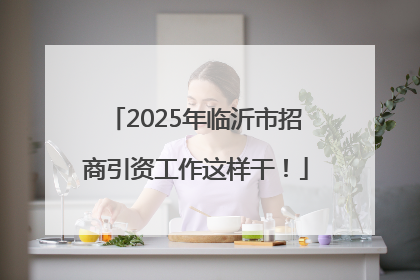 2025年临沂市招商引资工作这样干！