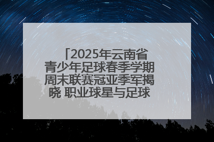 2025年云南省青少年足球春季学期周末联赛冠亚季军揭晓 职业球星与足球小将共享荣耀时刻