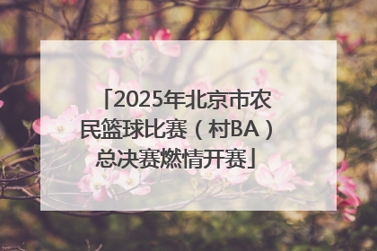 2025年北京市农民篮球比赛（村BA）总决赛燃情开赛
