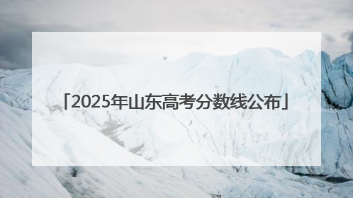 2025年山东高考分数线公布