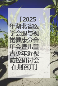 2025年湖北省医学会眼与视觉健康分会年会暨儿童青少年近视防控研讨会在荆召开