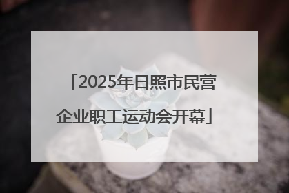 2025年日照市民营企业职工运动会开幕