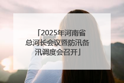 2025年河南省总河长会议暨防汛备汛调度会召开