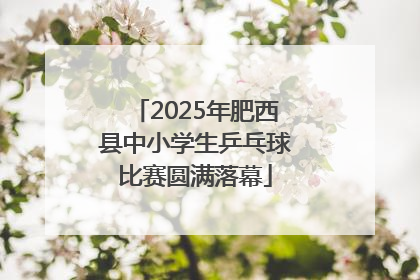 2025年肥西县中小学生乒乓球比赛圆满落幕