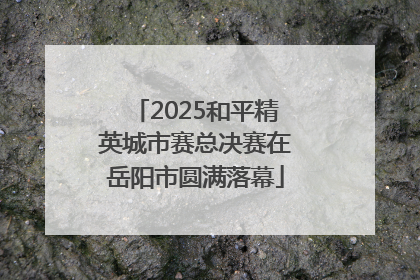 2025和平精英城市赛总决赛在岳阳市圆满落幕