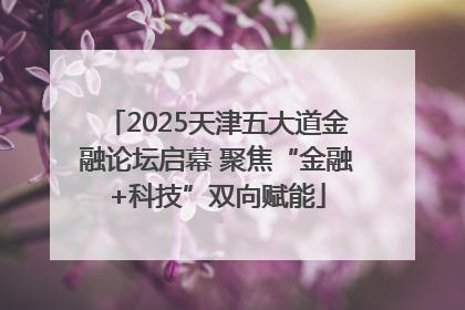 2025天津五大道金融论坛启幕 聚焦“金融+科技”双向赋能