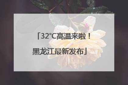 32℃高温来啦！黑龙江最新发布