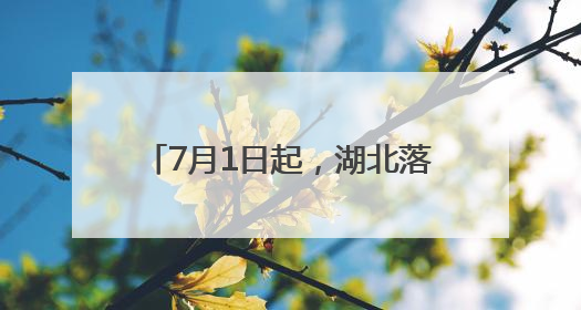 7月1日起，湖北落实离境退税政策，57家商店名单公布