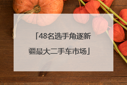 48名选手角逐新疆最大二手车市场